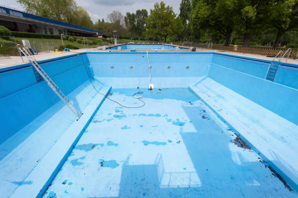 Best Basement water damage restoration  in Columbus, WI