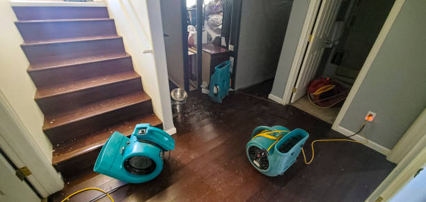 Best Water damage restoration near me  in Columbus, WI