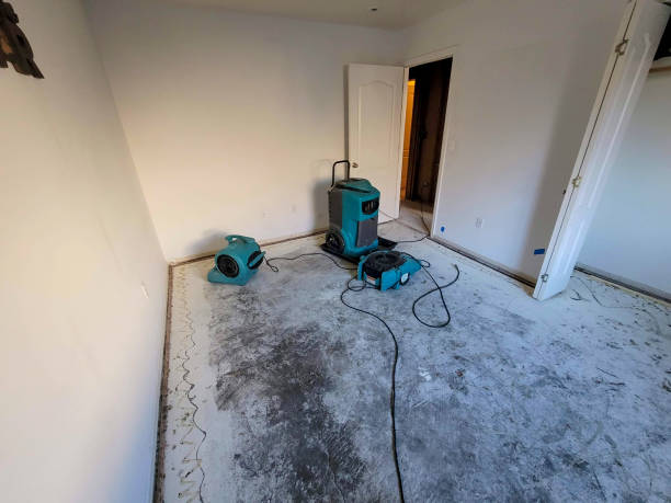 Best Ceiling water damage repair  in Columbus, WI