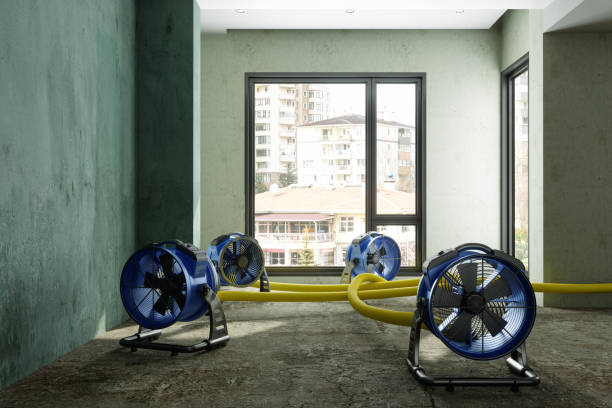 Best Professional water damage repair  in Columbus, WI